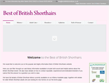 Tablet Screenshot of bestofbritishshorthairs.co.uk